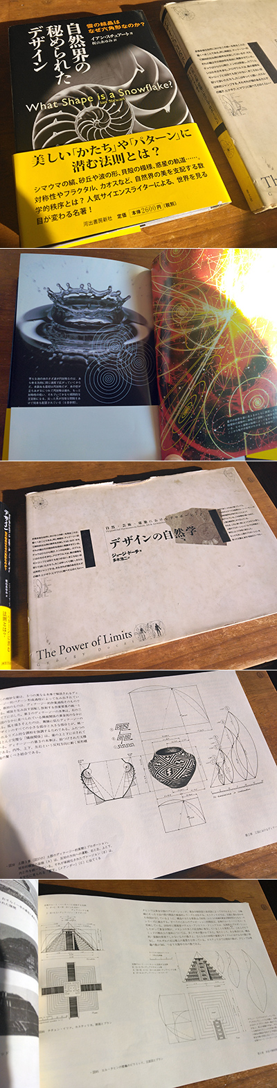 ���R�E�̔�߂�ꂽ�f�U�C���@�f�U�C���̎��R�w�@���`�Ǝp��������̂Ȃ����́�